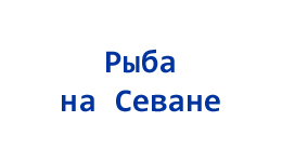 Image is loading